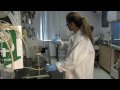Vibrio Bacteria and Water Safety