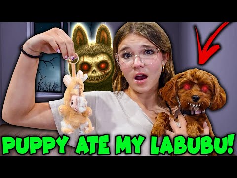 😱 Our Puppy Ate Labubu… Now She’s Cursed! 😨🐶