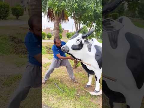 Duckling saves seriously injuredcat😍😘 #DuckRescue #CuteAnimals #AnimalRescue