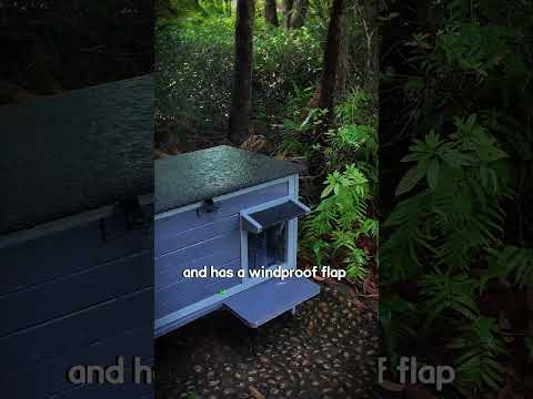 Aivituvin essential winter shelter #aivituvin