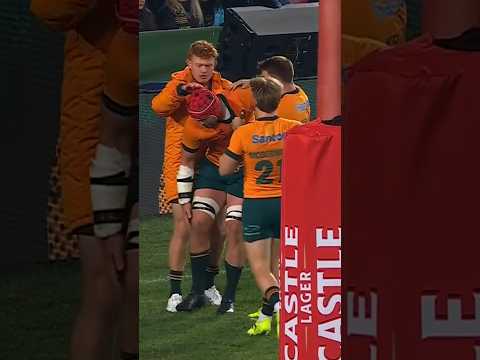 Harry Wilson is the <strong>DEFINITION</strong> of 'Captain Courageous' 😱 #Wallabies #TheFlightCentreSeries