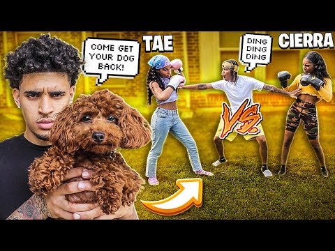 TAE VS CIERRA THE BOXING MATCH!!🥊
