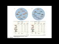 Species Diversity and Distribution Concepts