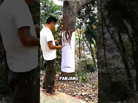 cowok ini bikin pohon tampak menghilang #shorts