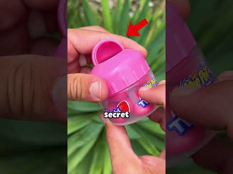 what Baby Bottle Twisters look like