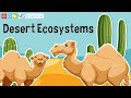 Exploring Desert Ecosystems and Their Unique Adaptations