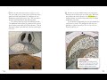 Ant Adventures: Challenges and Discoveries