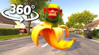VR 360° Chimpanzini Bananini HUNTS YOU!
