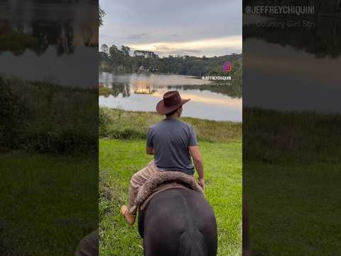 Meu Paraná é lindo