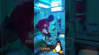 Fun Facts With Matt Lowne