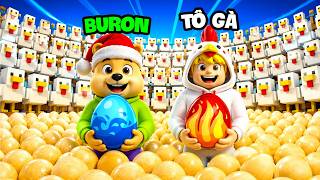 Buron Đỡ Đẻ Cho Tô Gà, Nhưng Lại Ra Quả Trứng Hiếm !!