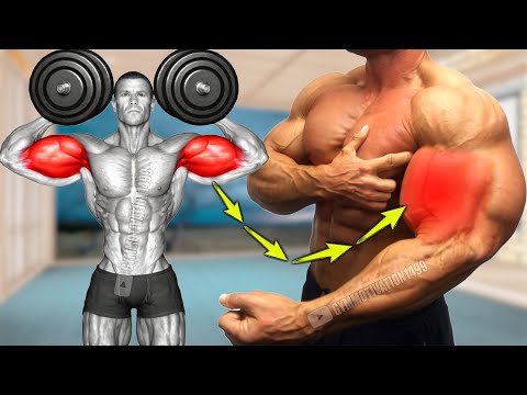 7 Guide Exercises to Power Up for Biceps