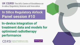 UK CEiRSI Airlock Panel: In Silico Models in Radiotherapy