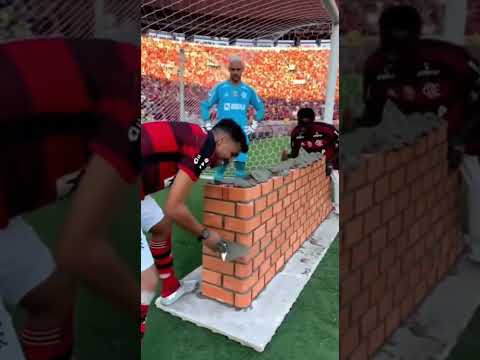 Complicou por mengão 😬. #ia #palmeiras #flamengo #brasileirao #futebol #mengão #shorts #shortvideo