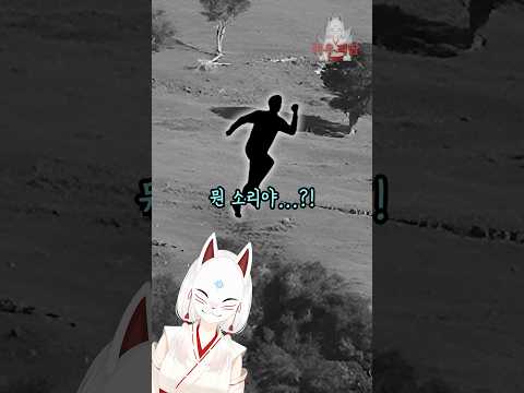 타우마타와카탕이항아코아우아우오타마테아투리푸카카피키마웅아호로누쿠포카이웨누아키타나타후