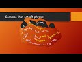 Understanding Commas and Appositives