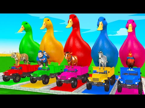 5 Giant Duck Cartoon,Cow,Mammoth,Lion,Bear,Tiger Paint Wild Animals Crossing Fountain Animation