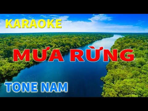 Karaoke Mưa Rừng | Trung Hiếu Karaoke