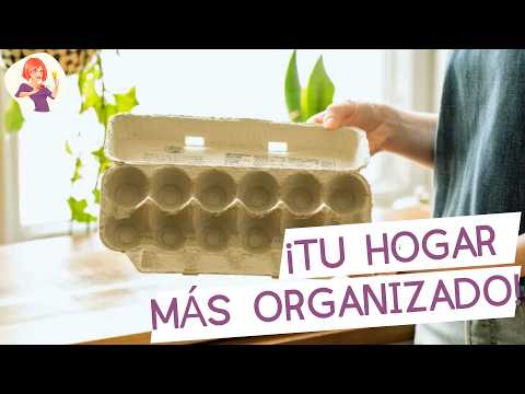 ¡Tu Hogar Estará Más Organizado! 22 Trucos Con Bandejas De Huevos Que No Conocías