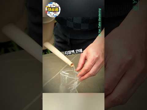가지 하나로 화려한 5월을 보내는 방법