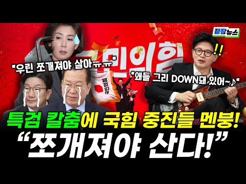 특검 칼춤에 국힘 가루되기 일보직전!! 중진들 충격에 멘붕 "우린 쪼개져야 살아ㅠㅠ" 한동훈만 신났다? (박영식 성치훈) #끝장뉴스 #일타정치 (0715_화)