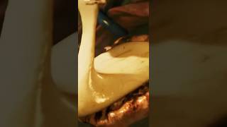 pizza #shorts #holoarmis #octavio