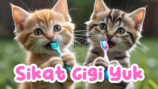 Lagu Anak "Sikat Gigi Yuk!" - Lagu Anak Indonesia (video Kucing Lucu)