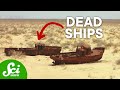 Shipwreck Graveyards and Their Causes
