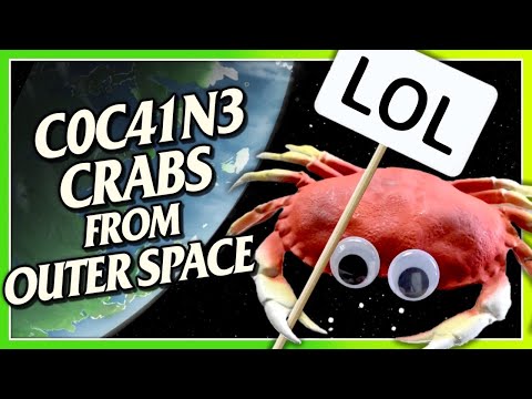 🦀 C0c41ne CRABS del Espacio Exterior 🦀