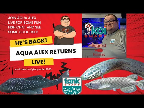 He's BACK! | Aqua Alex Cardinale RETURNS on Indepe Aqua Alex Cardinale Returns LIVE!
He's BACK! Aqua Alex Cardinale is diving into the vibrant world of