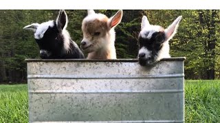 Magical first moments! 