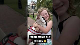 Yankee Had Never Met Kids.. Until Today #rescue #rescuedog #rescuepuppy #adoptdontshop #fyp #viral