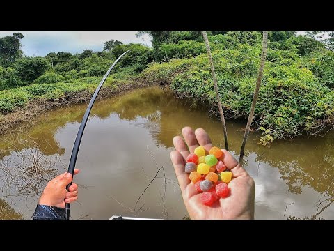 TEM TANTO PIAU E PACU QUE PEGA ATÉ COM JUJUBA…Pescaria com vara telescópica