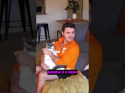 Gato: "Se eu ficar quieto, talvez eu consiga morar e comer de graça aqui 😂"📌 #gatos #michis #cats