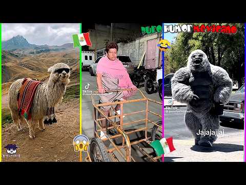 🔥🚨HUMOR VIRAL #213 🇲🇽| 🚨| ESTATUA VIVIENTE 🗿🤠🤣😂 | HUMOR MEXICANO TikTok | SI TE RÍES PIERDES!!