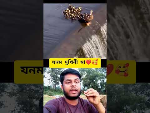 পৃথিবীতে মায়ের সঙ্গে কারো তুলনা হতে পারে না