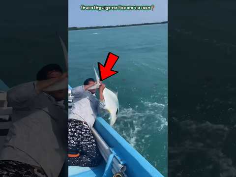 The Secret of Catching Fish by Hand #shorts