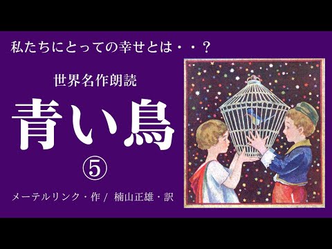 アナウンサー名作朗読「青い鳥」⑤メーテルリンク/ 楠山正雄 訳〜おやすみ前・睡眠・作業用BGM・本好きにもおすすめ【アナウンサーしまえりこ】