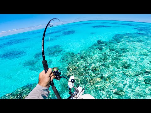 Fishing Coral Flats and Blue Holes