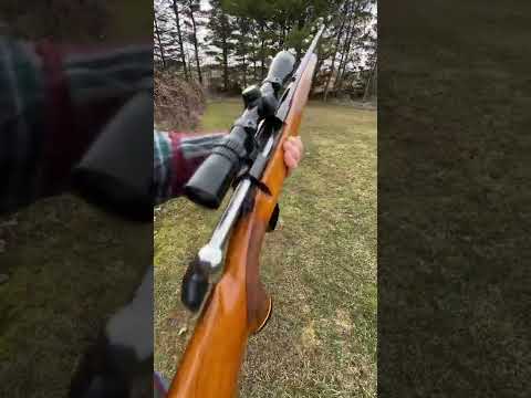 BSA monarch 30-06 Vs Cantelope