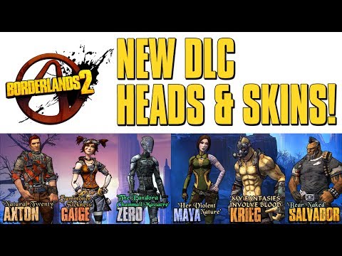 borderlands 2 skins and heads codes