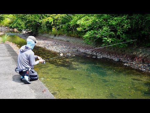 【三重へ釣り旅】超綺麗な川と河口で何が釣れる？