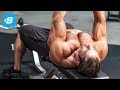 Understanding Muscular Anatomy and Training