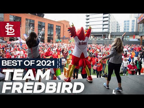 Best of 2021: Team Fredbird | St. Louis Cardinals video clip