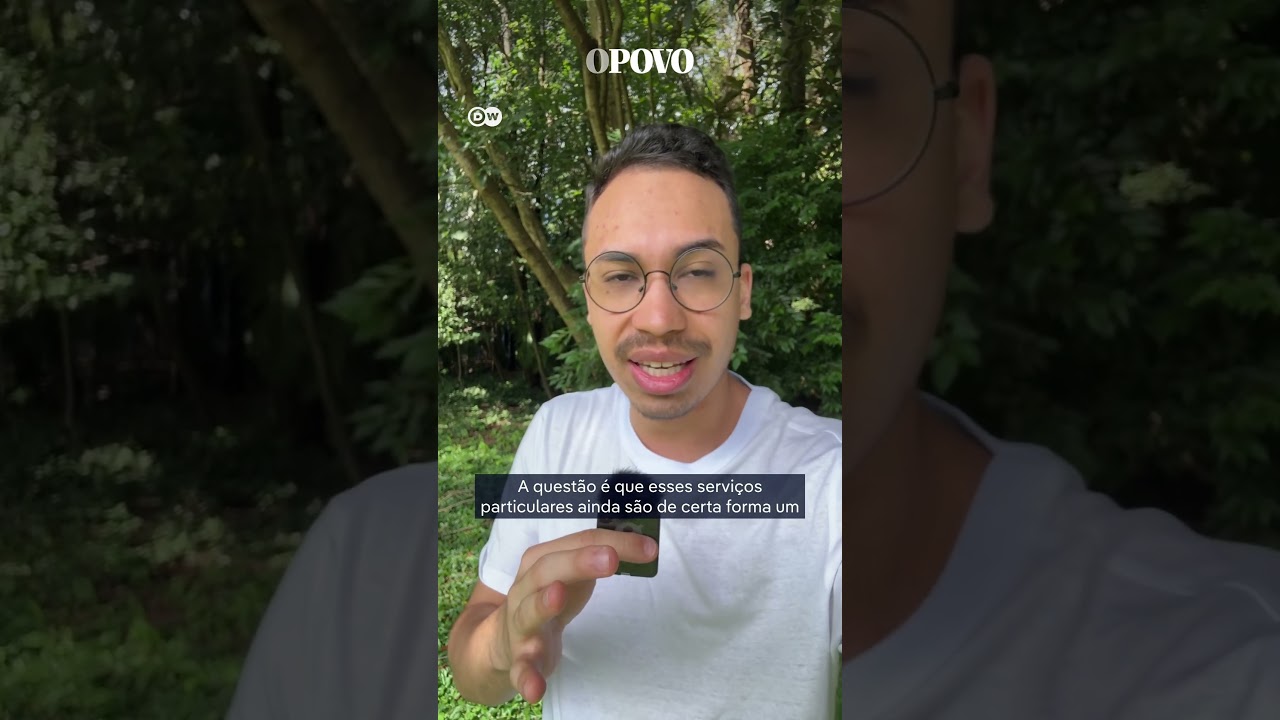 No estado de São Paulo, pets podem ser sepultados nos jazigos das famílias