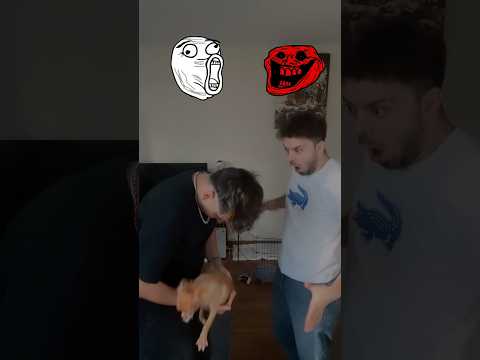 Oha çocuk bayıldı😱| Köpek bile korktu🐕😰| Bunu nasıl başardım bilmiyorum 🥹|