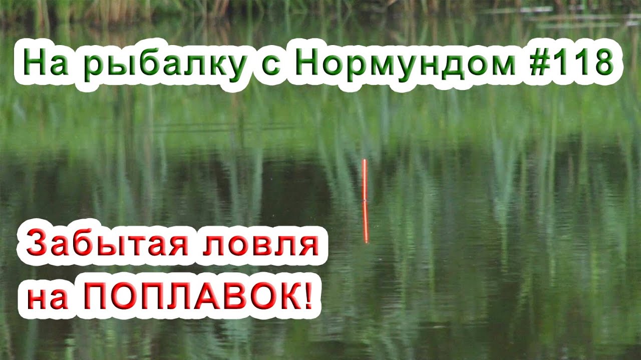 Забытая ловля на поплавок На рыбалку с Нормундом #118