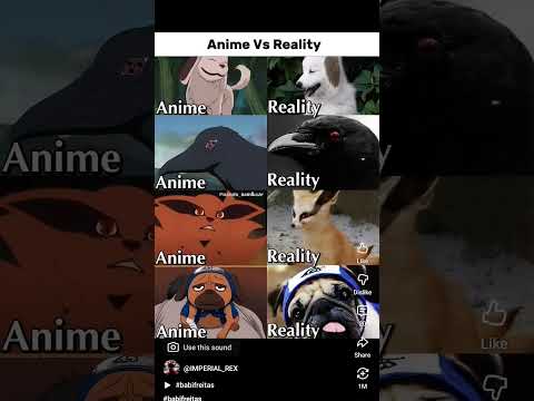 Anime vs Comment