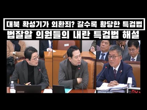 대북 확성기가 외환죄?  법잘알 의원들이 설명하는 황당한 내란 특검법v