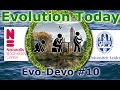 Animal Development and Gene Expression